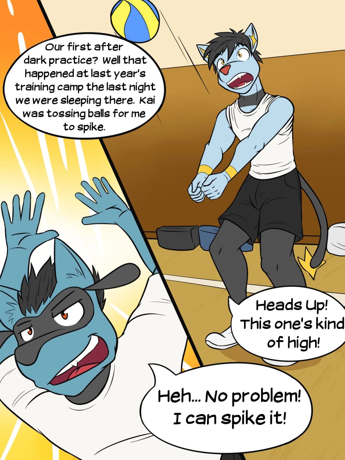 Pokéballers: Penalty Match